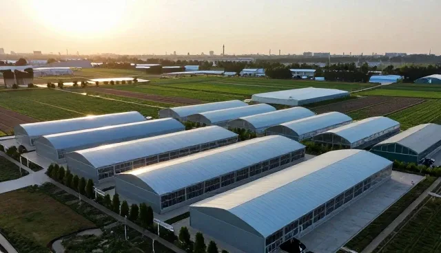河北古赵文化传播股份有限公司打造符合现代需求的客户以中小